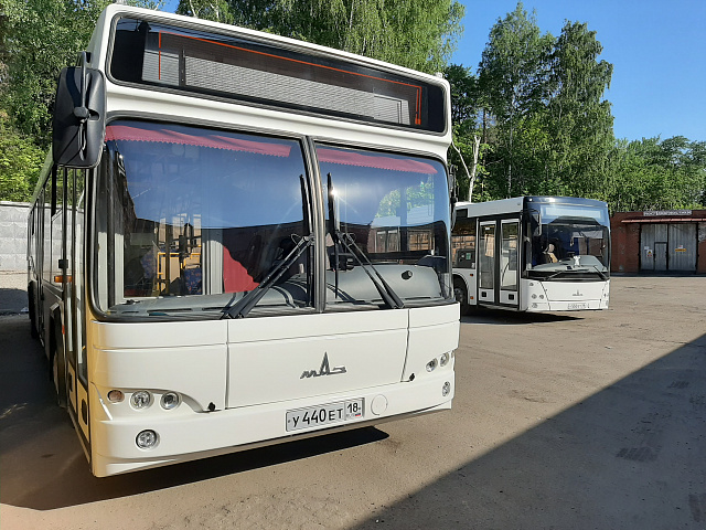 Автобусный маршрут №31 с 1 июня будет работать по обновленному расписанию